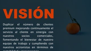 VISIÓN
Duplicar el número de clientes
premium mejorando continuamente el
servicio al cliente en sinergia con
nuestros socios comerciales,
fomentando el bienestar de nuestro
equipo de trabajo y cumpliendo con
nuestros accionistas en términos de
 
