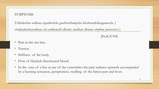 SYMPTOMS
Ebhirdashtae vedhana vepathushcha gaathrasthampaha krishnarakthaagamascha |
shakhadashtaevedhana cha urdhamethi dhaaha swedhaw dhamsa shophow jwarascha||
[Su.K.8/60]
• Pain in the site bite.
• Tremor.
• Stiffness of the body.
• Flow of blackish discoloured blood.
• In the case of a bite at any of the extremities the pain radiates upwards accompanied
by a burning sensation, perspiration, swelling of the bitten part and fever.
10
 