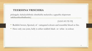 TEEKSHNA VRISCHIKA
pishangaha shabalaschithraha shonithabha mahavisha a agnyabha ekaparvano
rakthaasithasithodharaha|
[A.S.U.43/32-33]
• Reddish brown, Spotted, of variegated colours and resemble blood or fire.
• Have only one joint, belly is either reddish black or white in colour.
12
 