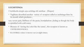 UCCHITINGA
Vrischikasthu deergho anya ucchitinga ithi smritham (Manjari)
• Vagbhata described another variety of scorpion called as ucchitinga-bites by
its mouth which produces ,
very severe pain, Stiffness of the penis, horripilations ,feeling as though the body
is sprinkled with cold water.
• Because of having the color like the camel , this scorpion is known as
USHTRADHOOMAKA.
• RAATHRIKA-since it moves out at night times.
17
 