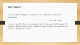 PROGNOSIS
Dhasto asadyasthu drik ghrana rasanopahatho nara Athyartham vedhanaartho
jahanthyashun||
[Ch.Chi.23/15]
In case of asadhya damsa sensory preceptions of eyes , nose and tongue will
impaired, skin and muscle tissue peeled off from the bitten area and excessive
pain and lastly kills the patient.
18
 