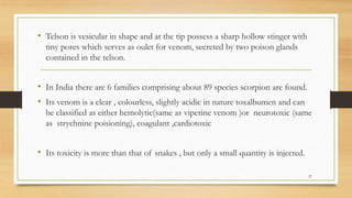 • Telson is vesicular in shape and at the tip possess a sharp hollow stinger with
tiny pores which serves as oulet for venom, secreted by two poison glands
contained in the telson.
• In India there are 6 families comprising about 89 species scorpion are found.
• Its venom is a clear , colourless, slightly acidic in nature toxalbumen and can
be classified as either hemolytic(same as viperine venom )or neurotoxic (same
as strychnine poisioning), coagulant ,cardiotoxic
• Its toxicity is more than that of snakes , but only a small quantity is injected.
27
 