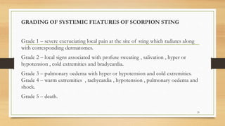 GRADING OF SYSTEMIC FEATURES OF SCORPION STING
Grade 1 – severe excruciating local pain at the site of sting which radiates along
with corresponding dermatomes.
Grade 2 – local signs associated with profuse sweating , salivation , hyper or
hypotension , cold extremities and bradycardia.
Grade 3 – pulmonary oedema with hyper or hypotension and cold extremities.
Grade 4 – warm extremities , tachycardia , hypotension , pulmonary oedema and
shock.
Grade 5 – death.
29
 
