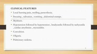 CLINICAL FEATURES
• Local burning pain, swelling, paraesthesia.
• Sweating , salivation , vomiting , abdominal cramps.
• Mydriasis.
• Hypotension followed by hypertension , bradycardia followed by tachycardia
, cardiac arrythmias , myocarditis.
• Convulsion.
• Oliguria.
• Pulmonary oedema.
30
 
