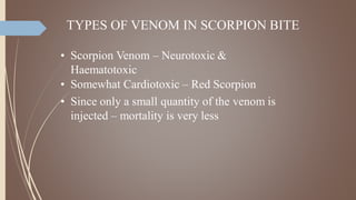 TYPES OF VENOM IN SCORPION BITE
• Scorpion Venom – Neurotoxic &
Haematotoxic
• Somewhat Cardiotoxic – Red Scorpion
• Since only a small quantity of the venom is
injected – mortality is very less
 