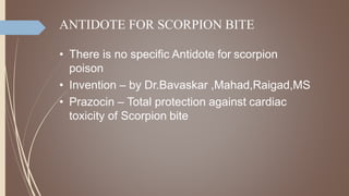 ANTIDOTE FOR SCORPION BITE
• There is no specific Antidote for scorpion
poison
• Invention – by Dr.Bavaskar ,Mahad,Raigad,MS
• Prazocin – Total protection against cardiac
toxicity of Scorpion bite
 