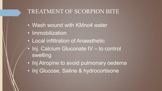 TREATMENT OF SCORPION BITE
• Wash wound with KMno4 water
• Immobilization
• Local infiltration of Anaesthetic
• Inj. Calcium Gluconate IV – to control
swelling
• Inj Atropine to avoid pulmonary oedema
• Inj Glucose, Saline & hydrocortisone
 