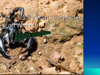 All about scorpions BY  KEVIN XU About Scorpion About scorpion 