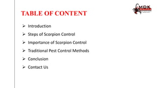 View of Scorpion Control Services in Texas | PPTX