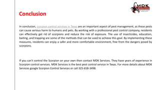 Scorpion Control Services For Schools photo