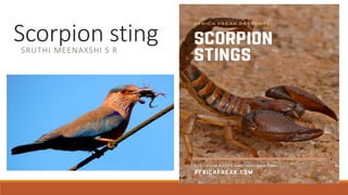 Scorpion sting
SRUTHI MEENAXSHI S R
 