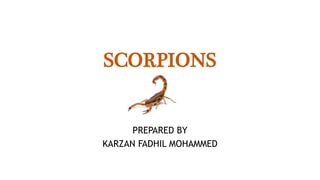 SCORPIONS
PREPARED BY
KARZAN FADHIL MOHAMMED
 