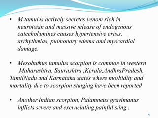 • M.tamulus actively secretes venom rich in
neurotoxin and massive release of endogenous
catecholamines causes hypertensive crisis,
arrhythmias, pulmonary edema and myocardial
damage.
• Mesobuthus tamulus scorpion is common in western
Maharashtra, Saurashtra ,Kerala,AndhraPradesh,
TamilNadu and Karnataka states where morbidity and
mortality due to scorpion stinging have been reported
• Another Indian scorpion, Palamneus gravimanus
inflicts severe and excruciating painful sting..
19
 