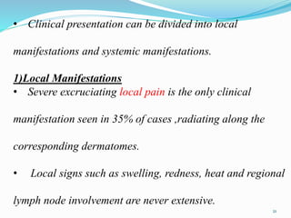• Clinical presentation can be divided into local
manifestations and systemic manifestations.
1)Local Manifestations
• Severe excruciating local pain is the only clinical
manifestation seen in 35% of cases ,radiating along the
corresponding dermatomes.
• Local signs such as swelling, redness, heat and regional
lymph node involvement are never extensive.
21
 