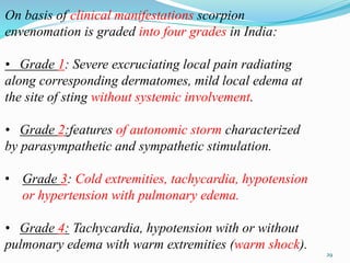 On basis of clinical manifestations scorpion
envenomation is graded into four grades in India:
• Grade 1: Severe excruciating local pain radiating
along corresponding dermatomes, mild local edema at
the site of sting without systemic involvement.
• Grade 2:features of autonomic storm characterized
by parasympathetic and sympathetic stimulation.
• Grade 3: Cold extremities, tachycardia, hypotension
or hypertension with pulmonary edema.
• Grade 4: Tachycardia, hypotension with or without
pulmonary edema with warm extremities (warm shock).
29
 