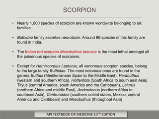 • Nearly 1,000 species of scorpion are known worldwide belonging to six
families.
• Buthidae family secretes neurotoxin. Around 86 species of this family are
found in India.
• The Indian red scorpion Mesobuthus tamulus is the most lethal amongst all
the poisonous species of scorpions.
• Except for Hemiscorpius Lepturus, all venomous scorpion species, belong
to the large family Buthidae. The most notorious ones are found in the
genera Buthus (Mediterranean Spain to the Middle East), Parabuthus
(western and southern Africa), Hottentota (South Africa to south east Asia),
Tityus (central America, south America and the Caribbean), Leiurus
(northern Africa and middle East), Androctonus (northern Africa to
southeast Asia), Centruroides (southern united states, Mexico, central
America and Caribbean) and Mesobuthus (throughout Asia)
SCORPION
API TEXTBOOK OF MEDICINE 10TH EDITION
 
