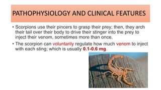PATHOPHYSIOLOGY AND CLINICAL FEATURES
• Scorpions use their pincers to grasp their prey; then, they arch
their tail over their body to drive their stinger into the prey to
inject their venom, sometimes more than once.
• The scorpion can voluntarily regulate how much venom to inject
with each sting; which is usually 0.1-0.6 mg.
 