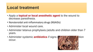 Local treatment
• Apply a topical or local anesthetic agent to the wound to
decrease paresthesia.
• Nonsteroidal anti-inflammatory drugs (NSAIDs)
• Administer local wound care.
• Administer tetanus prophylaxis.(adults and children older than 7
years.
• Administer systemic antibiotics if signs of secondary infection
occur.
 
