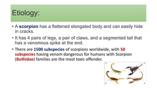 Etiology:
• A scorpion has a flattened elongated body and can easily hide
in cracks.
• It has 4 pairs of legs, a pair of claws, and a segmented tail that
has a venomous spike at the end.
• There are 1500 subspecies of scorpions worldwide, with 50
subspecies having venom dangerous for humans with Scorpion
(Buthidae) families are the most toxic offender.
 