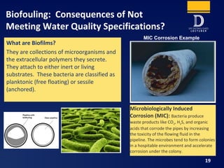 Biofouling: Consequences of Not
Meeting Water Quality Specifications?
19
What are Biofilms?
They are collections of microorganisms and
the extracellular polymers they secrete.
They attach to either inert or living
substrates. These bacteria are classified as
planktonic (free floating) or sessile
(anchored).
Microbiologically Induced
Corrosion (MIC): Bacteria produce
waste products like CO2, H2S, and organic
acids that corrode the pipes by increasing
the toxicity of the flowing fluid in the
pipeline. The microbes tend to form colonies
in a hospitable environment and accelerate
corrosion under the colony.
MIC Corrosion Example
 
