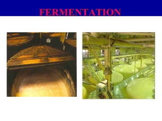 FERMENTATION

 