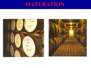 MATURATION

 