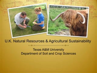 U.K. Natural Resources & Agricultural Sustainability Texas A&M University Department of Soil and Crop Sciences 