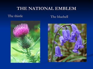 THE NATIONAL EMBLEM The thistle The bluebell 