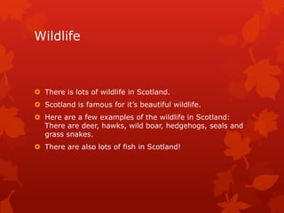 Wildlife

 There is lots of wildlife in Scotland.
 Scotland is famous for it’s beautiful wildlife.
 Here are a few examples of the wildlife in Scotland:
There are deer, hawks, wild boar, hedgehogs, seals and
grass snakes.
 There are also lots of fish in Scotland!

 
