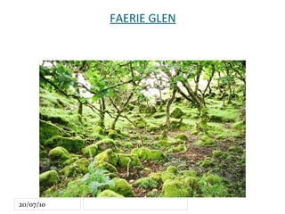 FAERIE GLEN 