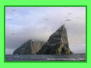 Sea stack in the St Kilda archipelago - Scotland
 