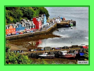 Isle of Mull
 