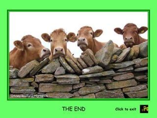 Orkney Scotland Highlands



                            THE END   Click to exit
 