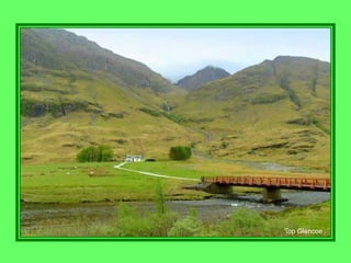 Top Glencoe
 