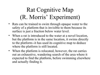 Rat Cognitive Map
        (R. Morris’ Experiment)
• Rats can be trained to swim through opaque water to the
  safety of a platform that is invisible to them because its
  surface is just a fraction below water level.
• When a rat is introduced to the water at a novel location,
  but the platform is in the same location, it swims directly
  to the platform--it has used its cognitive map to deduce
  where the platform is still located.
• When the platform is relocated, however, the rat carries
  out an exhaustive, wandering search of the area where it
  expected to find the platform, before swimming elsewhere
  and actually finding it.
 