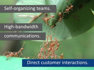 Self-organizing teams.
High-bandwidth
communications.
Direct customer interactions.
 