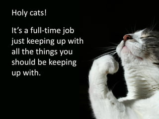 Holy cats!
It’s a full-time job
just keeping up with
all the things you
should be keeping
up with.
 