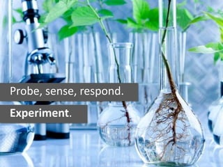 Probe, sense, respond.
Experiment.
 