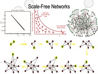 Scale-Free Networks 