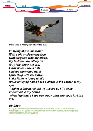 Walt: write a description about the bird.


Im ﬂying above the water
With a big smile on my face
Grabbing ﬁsh with my claws.
My feathers are falling off
Why I ﬂy threw the sky.
I look down I see a ﬁsh
I swoop down and get it
I pick it up with my claws
I take it home to my family.
While Im ﬂying home I see a shark in the corner of my
eye,
 It takes a bite at me but he misses so I ﬂy away
unharmed to my house,
 when I get there I see new baby birds that look just like
me.

By Scott
Scotty, your writing improves in leaps and bounds, well done. Iʼm very pleased :)
Next Steps: Iʼd like you to think about words that describe the bird, eg. strong claws,
treacherous talons, beady eyes etc
 