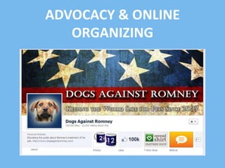ADVOCACY & ONLINE
ORGANIZING

 