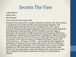 Secrets The Vine
• 5 Star Resort
• Adult-Only
• All-Inclusive
• Every room has an ocean view
• Found on the coast of the Yucatan Peninsula, Secrets The Vine Cancun
is located on one of the world's most picturesque beaches, the
enticing white sand beaches of the Caribbean Sea. This resort
presents 495 graciously appointed guest rooms with private balconies
revealing awe-inspiring views of the Caribbean Sea and Laguna
Nichupte. The stunning 12,580 square foot Secrets Spa by Pevonia is
designed for relaxation and rejuvenation evoking the magical world of
the Cenotes. Secrets The Vine Cancun is filled with layers of moments
to discover from natural luxury to unexpected flavors. Secrets The
Vine Cancun, is...all luxury..all YOU... surrounded by the magnificent
backdrops of views of every sunrise and sunset over the Caribbean
Sea and the Laguna Nichupte. This Unlimited-Luxury haven provides
opulence to the most discerning traveler with a pure white sand
beach and stunning ocean views stretching as far as the eye can see,
yet is located only 9 miles southwest of Cancun's International
Airport.
 