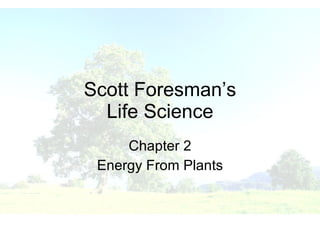 Scott Foresman’s Life Science Chapter 2 Energy From Plants 