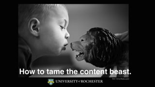How to tame the content beast.
Ben Grey/ﬂickr.com
 