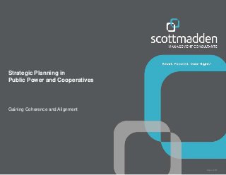 Report _2015
Strategic Planning in
Public Power and Cooperatives
Gaining Coherence and Alignment
 
