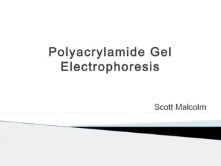 Polyacrylamide Gel
Electrophoresis
Scott Malcolm
 