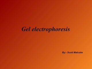 Gel electrophoresis
By:- Scott Malcolm
 