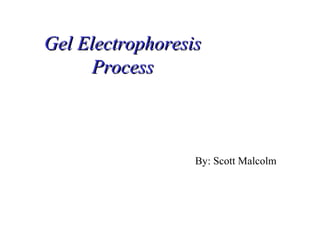 Gel ElectrophoresisGel Electrophoresis
ProcessProcess
By: Scott Malcolm
 