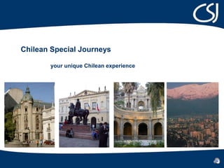 Chilean Special Journeys  your unique Chilean experience 