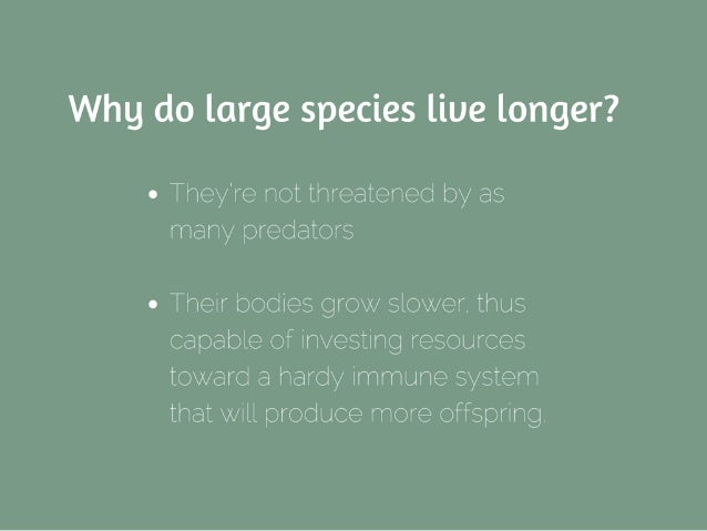 size matters a look into animals lifespans do size matters